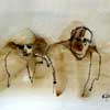 Jaaroverzicht 2003, aquarel en inkt op papier