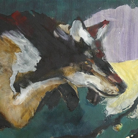 Wolf